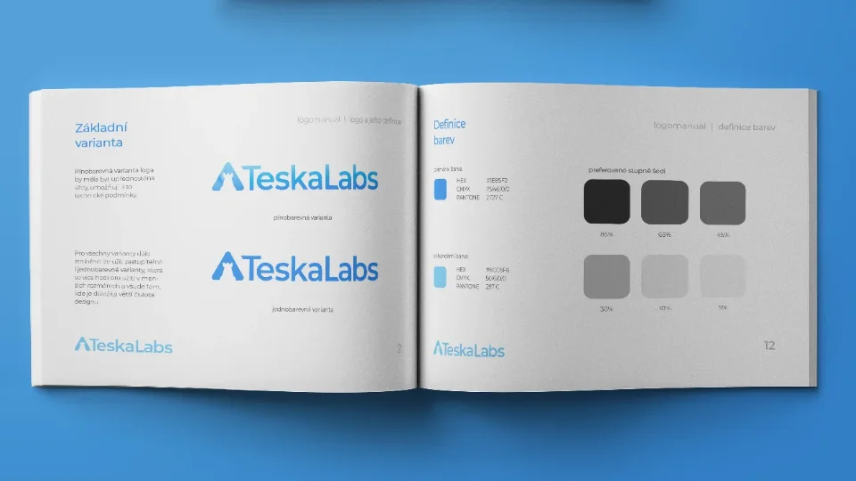 Redesign loga pro Teskalabs a návrh vizuální identity